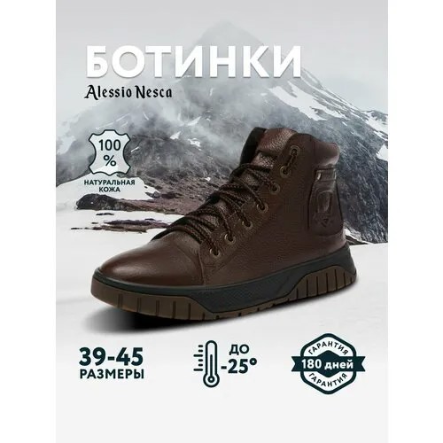 Ботинки Alessio Nesca, размер 43, коричневый
