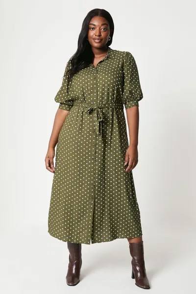 Зеленое платье-рубашка в горошек Curve с короткими рукавами Dorothy Perkins, зеленый