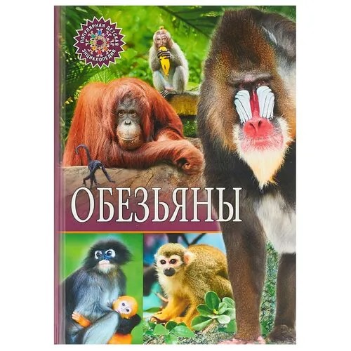 Обезьяны