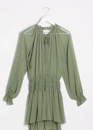 Платье мини из ткани добби с ярусной юбкой ASOS DESIGN Tall-Зеленый цвет