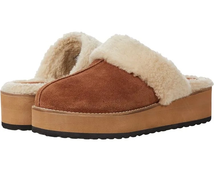 Домашняя обувь Seychelles Steady, цвет Tan Suede