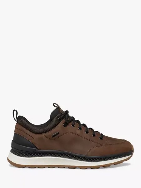 Кроссовки Geox Spherica Actif X2 ABX Waterproof, цвет coffee/black