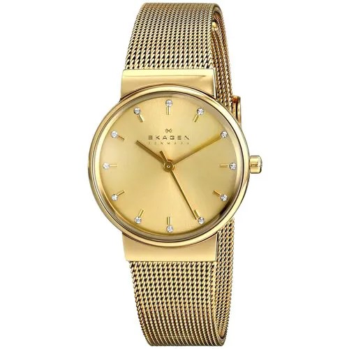 Наручные часы Skagen SKW2196