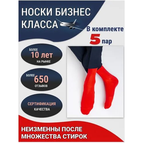 Носки Годовой запас носков, комплект, 5 пар, размер 29 (43-45), красный