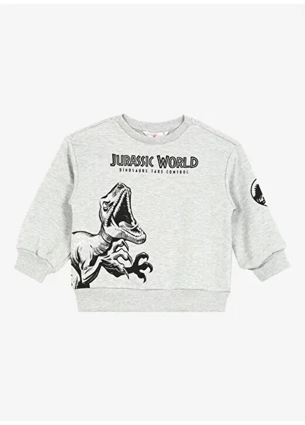Серый свитшот с круглым вырезом для мальчиков с принтом JURASSIC WORLD Never Say Never, серый