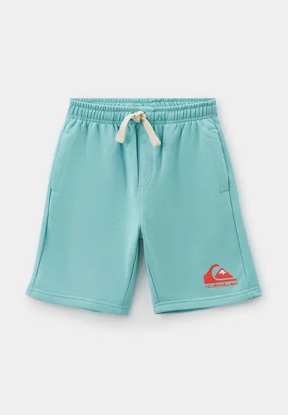 Шорты спортивные Quiksilver