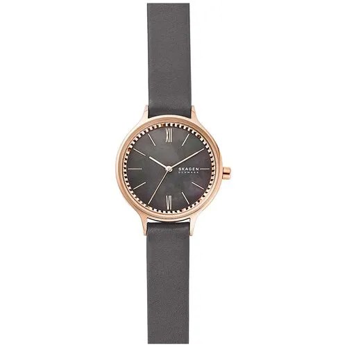 Наручные часы Skagen SKW2909