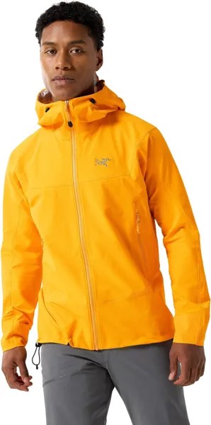 Толстовка Gamma Hoody Arc'teryx, цвет Edziza