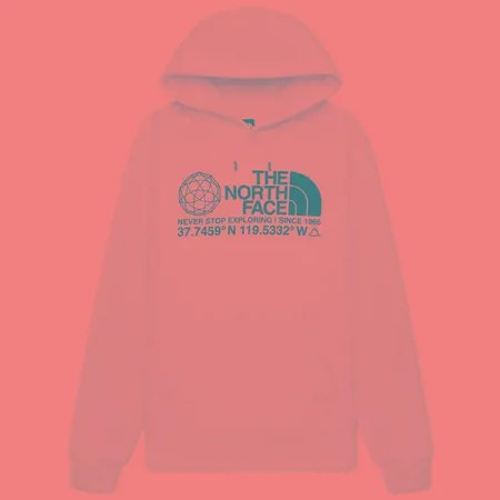 Мужская толстовка The North Face Logo Plus Hoodie, цвет белый, размер S