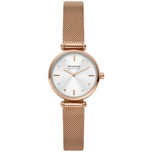 Наручные часы Skagen SKW2955