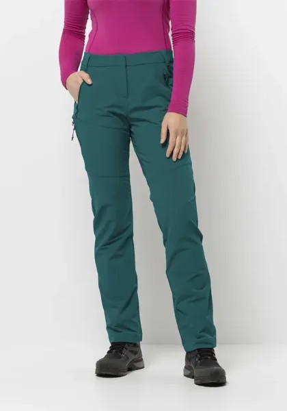 Трекинговые брюки Jack Wolfskin 