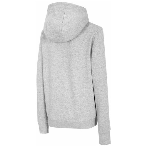 Толстовка 4F WOMEN'S SWEATSHIRTS Женщины NOSH4-BLD004-27M S