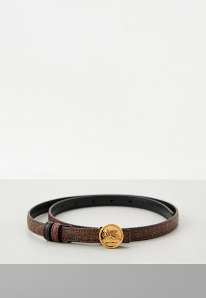 Ремень Etro