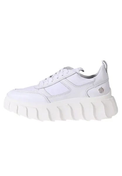 Низкие кроссовки Blair Apple of Eden, цвет weiß offwhite