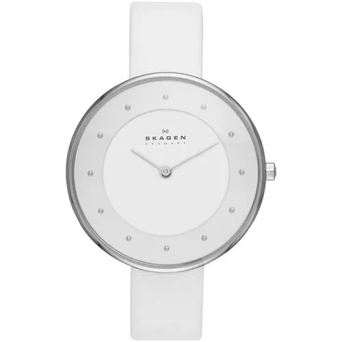 Наручные часы Skagen SKW2136