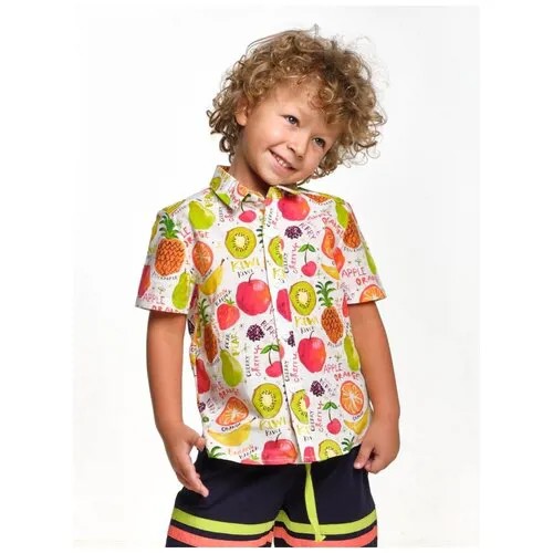 Рубашка для мальчиков Mini Maxi, модель 6440, цвет цветной, размер 116
