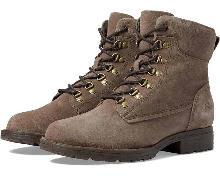 Ботинки Born Codi, цвет Taupe Suede