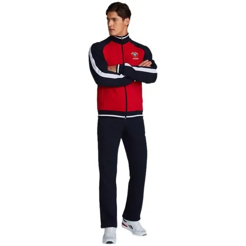 Костюм Addic, олимпийка и брюки, силуэт прямой, карманы, подкладка, утепленный, размер 48, красный