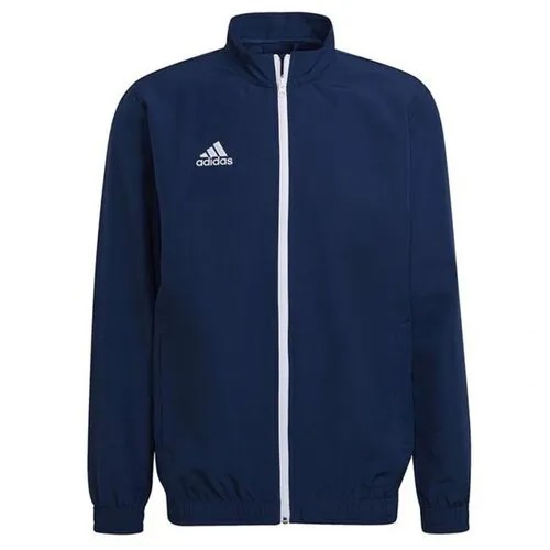 Олимпийка adidas Adidas Entrada22, размер L, темно-синий