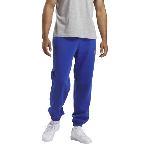 Брюки джоггеры Reebok RI BRAND PROUD, размер XL, голубой