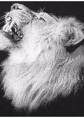 Футболка детская Like a Lion, черная, размер 6 лет
