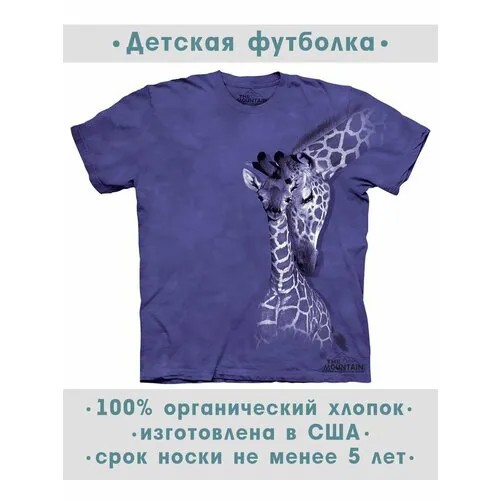 Футболка The Mountain, размер S-Y, фиолетовый