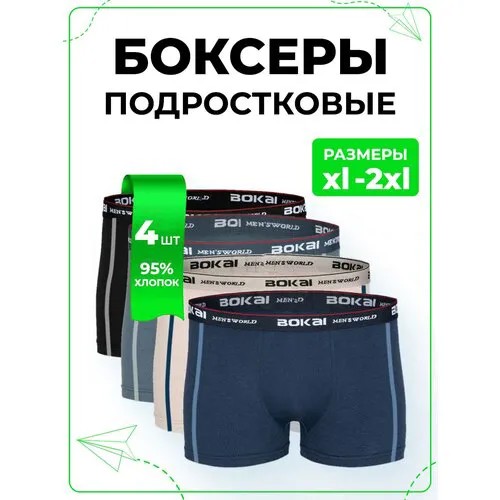 Трусы боксеры , УФ-защита, устойчивость к хлору, 4 шт., размер 42-44, мультиколор