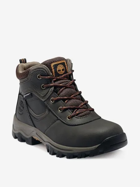 Ботинки для мальчиков Timberland Mt. Maddsen Mid Wp, Коричневый