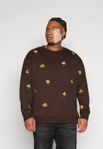 Толстовка Regular Fit Embroidery Scotch & Soda, цвет wildflower chocolate