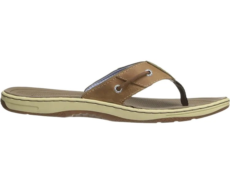 Сандалии Baitfish Thong Sperry, сонора