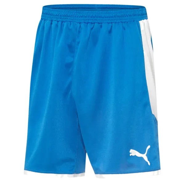 Шорты Puma Borussia Youth Boys Синие спортивные повседневные штаны 703039-02-Y