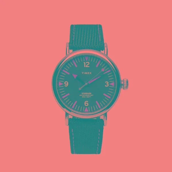 Наручные часы Timex Standard