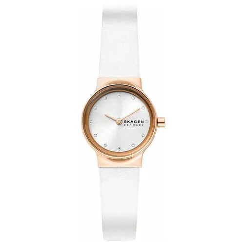 Наручные часы Skagen SKW3029