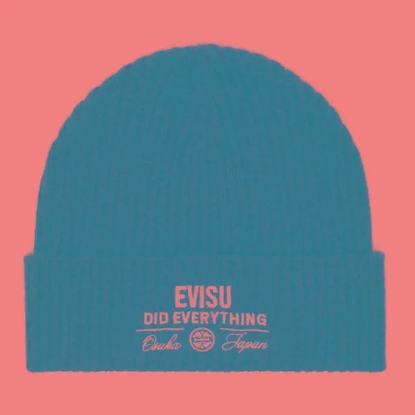 Шапка Evisu