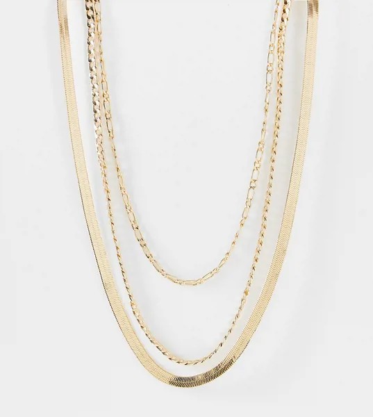Золотистое ярусное ожерелье в винтажном стиле ASOS DESIGN Curve-Золотистый