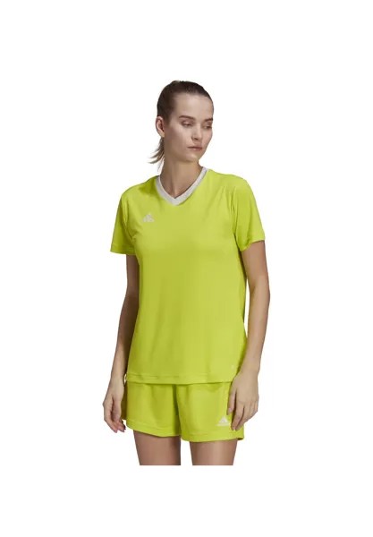 Спортивная футболка ENTRADA adidas Performance, цвет gruenweissweiss