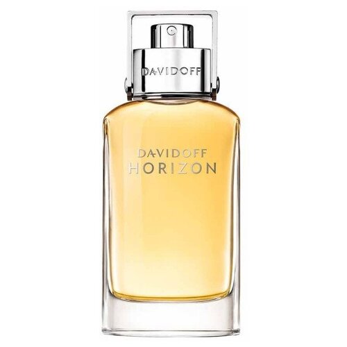 Туалетная вода Davidoff Horizon, 40 мл