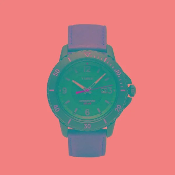 Наручные часы Timex Expedition Gallatin