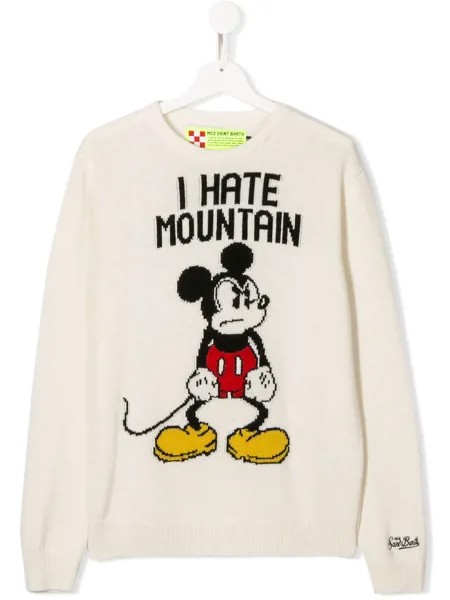 MC2 Saint Barth Kids джемпер Douglas Angry Mickey