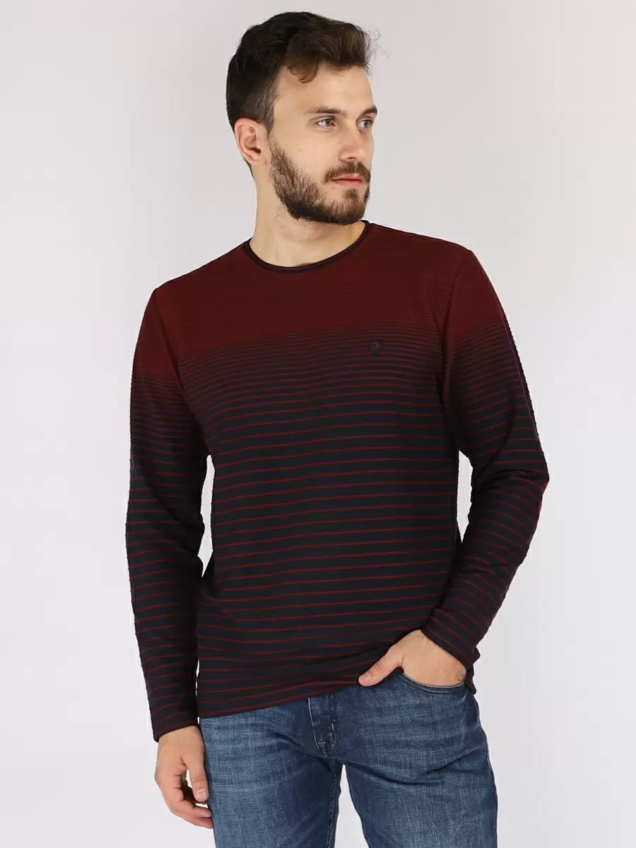 Лонгслив мужской A passion play 182TRXT-0058-1201 бордовый XXL