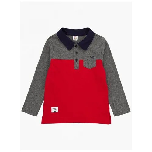 Поло для мальчиков Mini Maxi, модель 3777, цвет темно-серый/бордо, размер 92