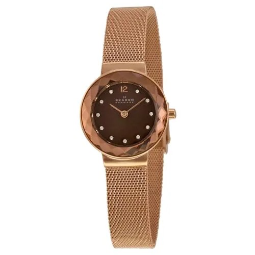 Наручные часы Skagen 456SRR1