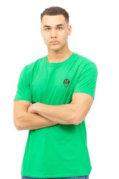 Хлопковая футболка с эмблемой Халка в виде головы Marvel, зеленый