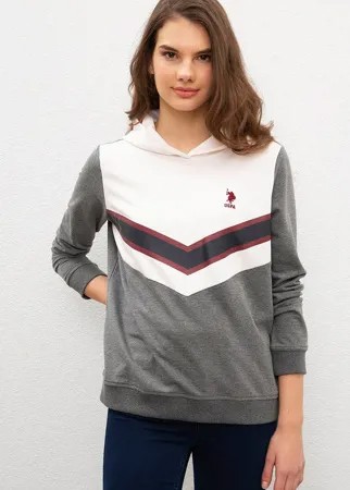 Толстовка U.S. Polo Assn.