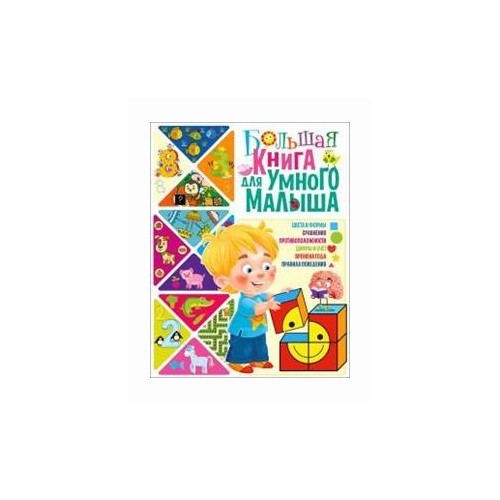 Большая книга для умного малыша