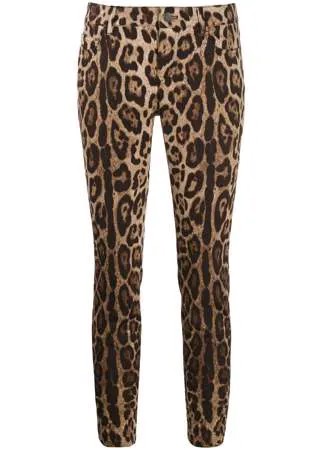 Dolce & Gabbana укороченные джинсы с леопардовым принтом