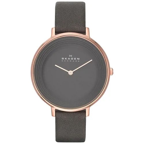 Наручные часы SKAGEN SKW2216, золотой