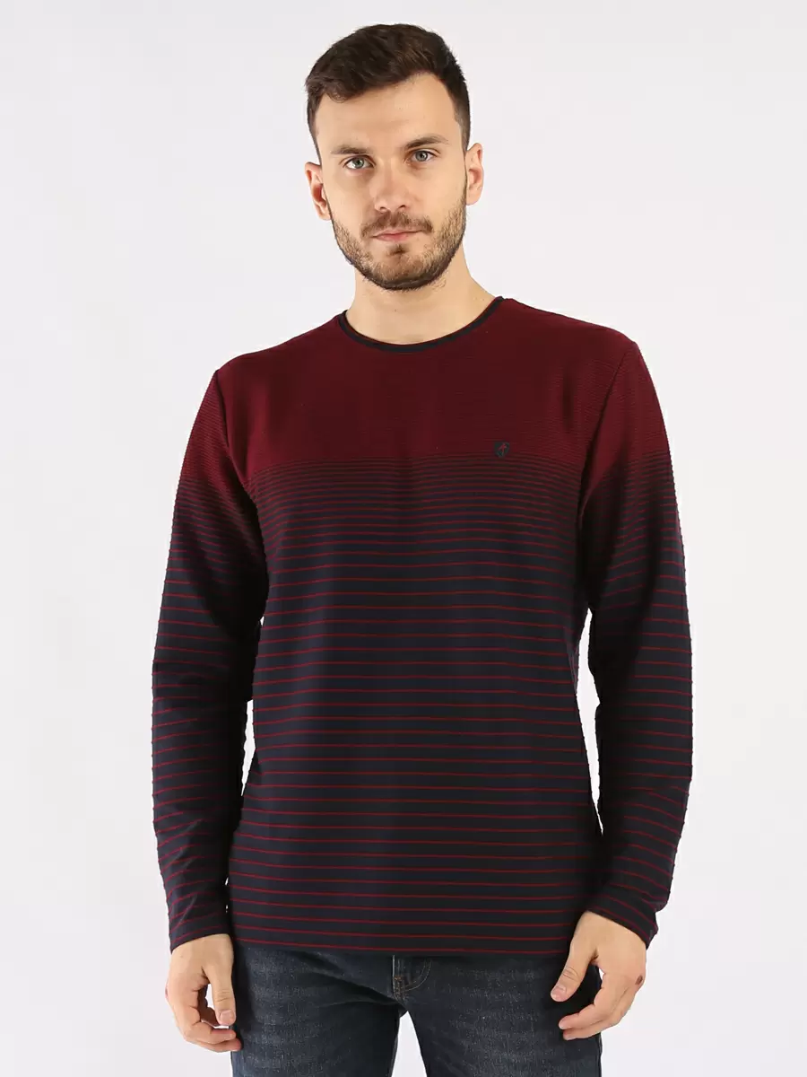 Лонгслив мужской A passion play SQ59825 бордовый 3XL