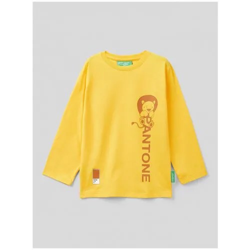 Лонгслив United Colors of Benetton для мальчиков 22A_3096G106Q_0P3_XS
