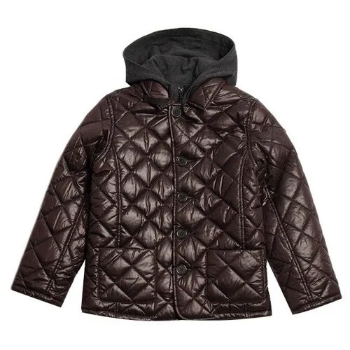 Куртка Aviva, размер 152, коричневый